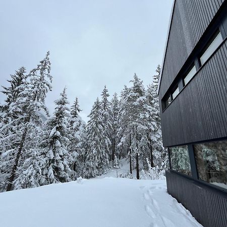 Chalet Dachstein ラムサウ・アム・ダッハシュタイン エクステリア 写真