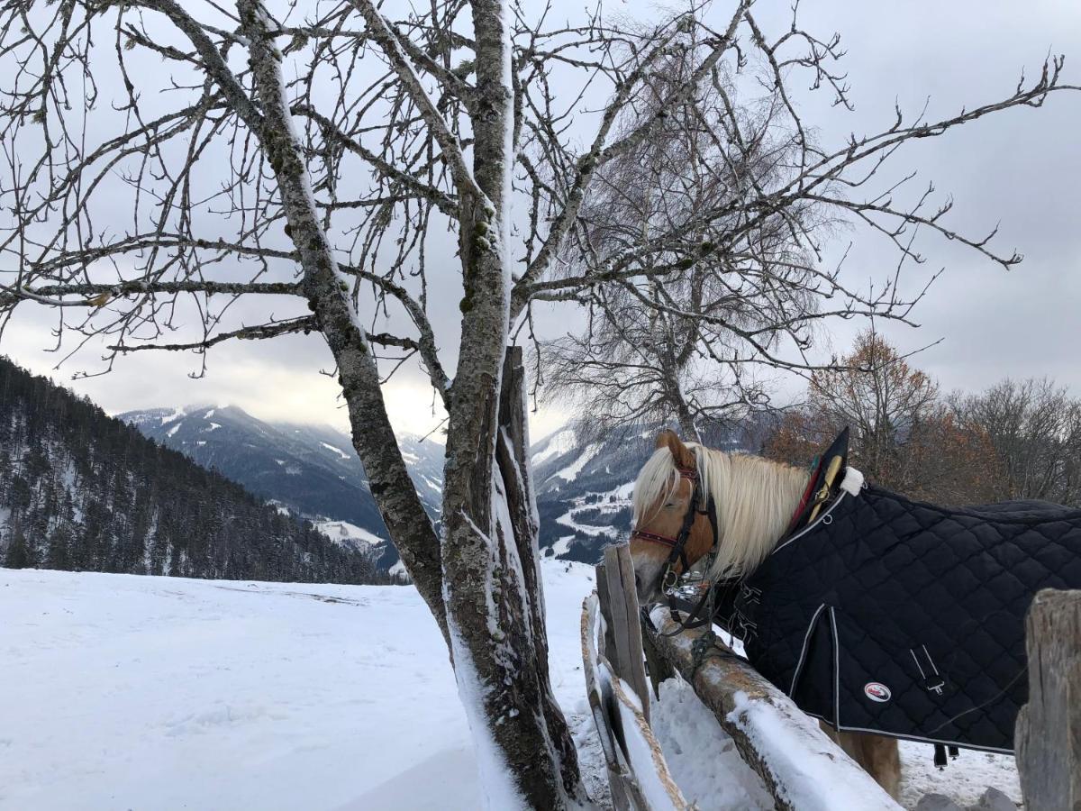 Chalet Dachstein ラムサウ・アム・ダッハシュタイン エクステリア 写真