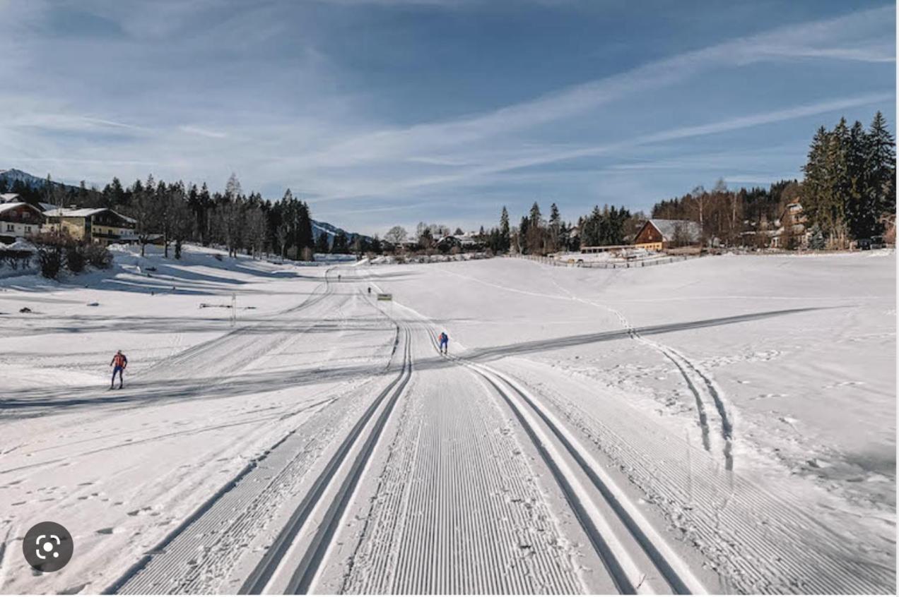 Chalet Dachstein ラムサウ・アム・ダッハシュタイン エクステリア 写真