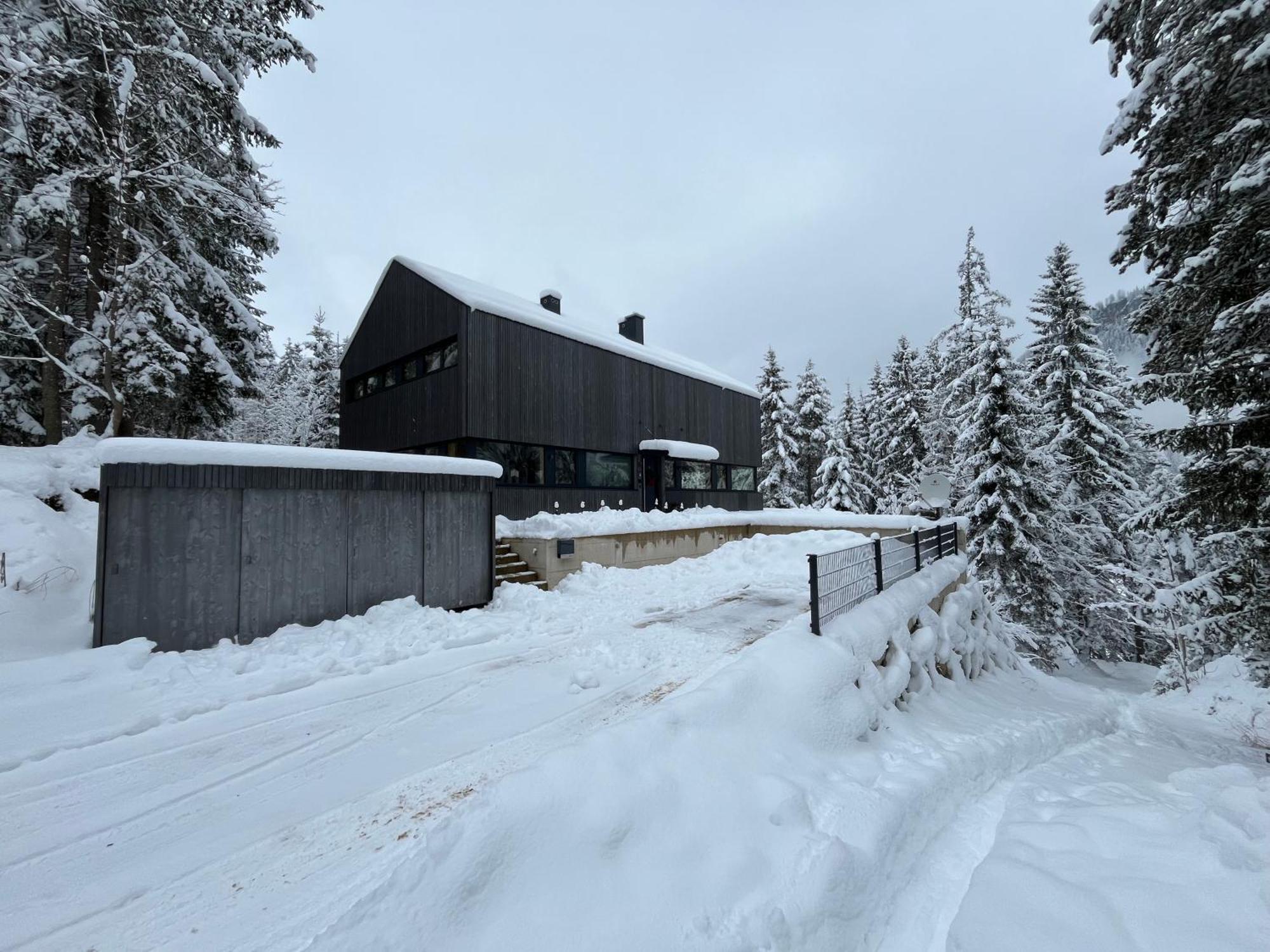 Chalet Dachstein ラムサウ・アム・ダッハシュタイン エクステリア 写真