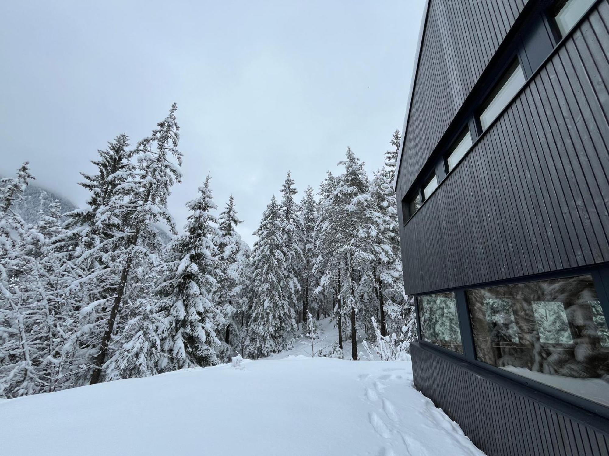 Chalet Dachstein ラムサウ・アム・ダッハシュタイン エクステリア 写真